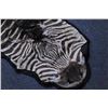 Image 2 : 18PG-132 ZEBRA HIDE
