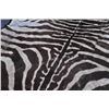 Image 6 : 18PG-132 ZEBRA HIDE