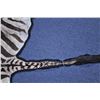 Image 7 : 18PG-132 ZEBRA HIDE