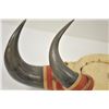 Image 3 : 18PG-133 HORN RACK