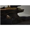 Image 16 : 18PG-105 CROSSBOW IN CASE