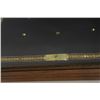 Image 3 : 18PG-105 CROSSBOW IN CASE