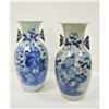 Image 1 : 18PG-90 CHINESE VASES