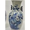 Image 3 : 18PG-90 CHINESE VASES