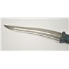 Image 3 : 18OO-19 PERSIAN STYLE DAGGER