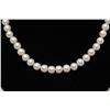 Image 2 : 18RPS-24 PEARL NECKLACE
