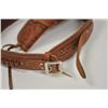 Image 3 : 18LN-1-223 HOLSTER  BELT