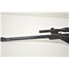 Image 3 : 18PW-7 DAISY BB GUN