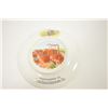Image 3 : 18RC-234 PORCELAIN PLATE