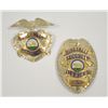 Image 1 : 18PL-9 BADGE LOT