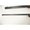Image 3 : 18NC-1 PERAZZI MX-8 #48365