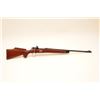 Image 6 : 18NP-9 SPORTER 1903