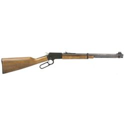 CHIAPPA LA322 22LR TAKEDWN 18.5" BLK