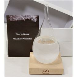 STORM GLASS WEATHER PREDICTOR WITH STAND.