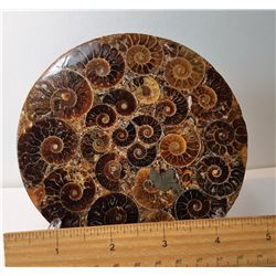 1)  AMMONITE SHELL DISK WITH STAND