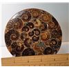 Image 1 : 1)  AMMONITE SHELL DISK WITH STAND