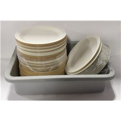 LARGE LOT OF CAMBRO PLATES & BUS TRAY