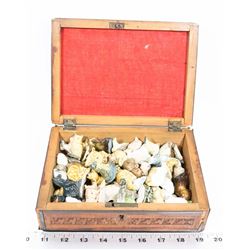 WOOD BOX INDIAN WITH 52 FIGURES INSIDE