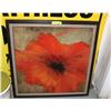 Image 1 : POPPY PICTURE   34" X 34"