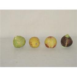 (4) PCS. 19TH CENT. PAINT DECORATED STONE FRUITS