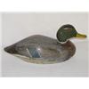 Image 1 : CARVED & PAINTED MALLARD DUCK DECOY