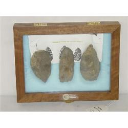 (3) ARCHAIC PALEOINDIAN "BIFACE" BLADES FROM NORTHEASTERN NORTH AMERICA