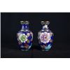 Image 1 : A Pair of Two Small Cloisonne Enamel "Floral and Bird" Vase.