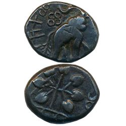 Ancient : Satavahanas