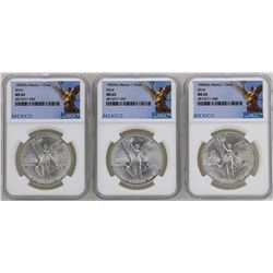 Lot of (3) 1983Mo Mexico Libertad Onza Silver Coins NGC MS65