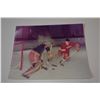 Image 1 : Gordie Howe 8x10 Color Photo