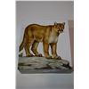 Image 1 : 2016 $100 Cougar - Pure Silver Coin