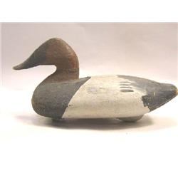A CARVED AND PAINTED WORKING DECOY OF A CANVAS BACK DUCK