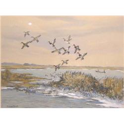FIVE SIGNED BIRD PRINTS BY ROLAND CLARK