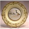 Image 1 : A SET OF EIGHTEEN ROYAL DOULTON BIRD PLATES