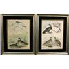 Image 1 : A PAIR OF DUCK PRINTS