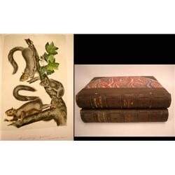 THE QUADROPEDS OF NORTH AMERICA BY JOHN JAMES AUDUBON AND THE REV. JOHN BACHMAN, PUBLISHED BY GEORGE