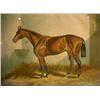 Image 1 : A SET OF EIGHT FRAMED EQUESTRIAN IMAGES