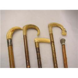 A GROUP OF FIVE WALKING STICKS