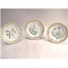 Image 1 : A SET OF SIX ROYAL COPENHAGEN "FLORA DANICA" PATTERN PORCELAIN DESSERT PLATES