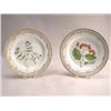 Image 1 : A SET OF EIGHT ROYAL COPENHAGEN "FLORA DANICA" PATTERN PORCELAIN DINNER PLATES