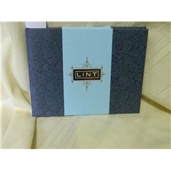 THE ACME NOVELTY LIBRARY - NUMBER 20 - LINT - 2010 - REALLY GOOD CONDITION