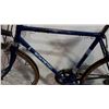 Image 2 : BLUE ROAD KING BIKE