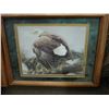 Image 2 : PAIR OF FRAMED ANIMAL PRINTS