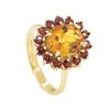 Image 4 : 3.32 ctw Citrine and Garnet Ring - 14KT Yellow Gold