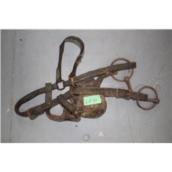 Old Horse Bridle w/Snaffle Bit