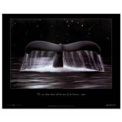 Reach for the Stars by Wyland