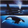 Image 2 : Orca Family by Wyland