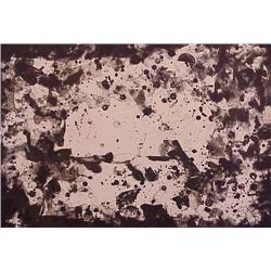 Sam Francis (1923-1994) American