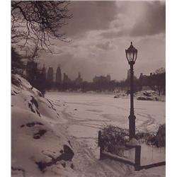 Fred Stein (20th Century) American