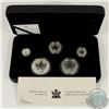 Image 1 : RCM Issue; 2004 RCM Privy Mark Silver Maple Leaf 5-coin Set (Tax Exempt). Missing outer sleeve.